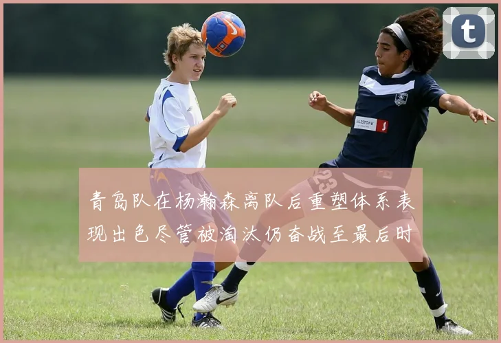 青岛队在杨瀚森离队后重塑体系表现出色尽管被淘汰仍奋战至最后时刻